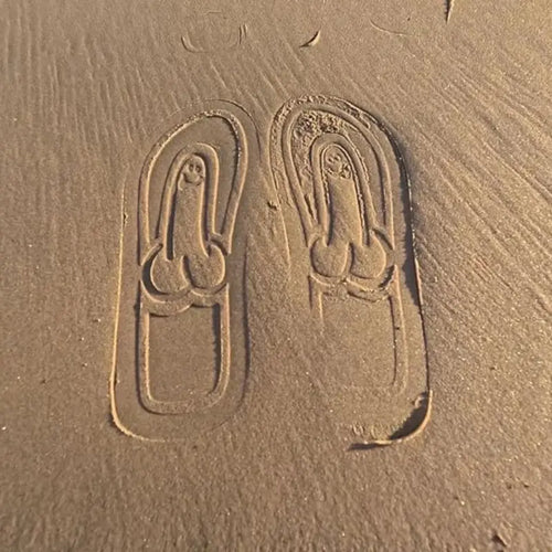 Hidden Penis Slipper